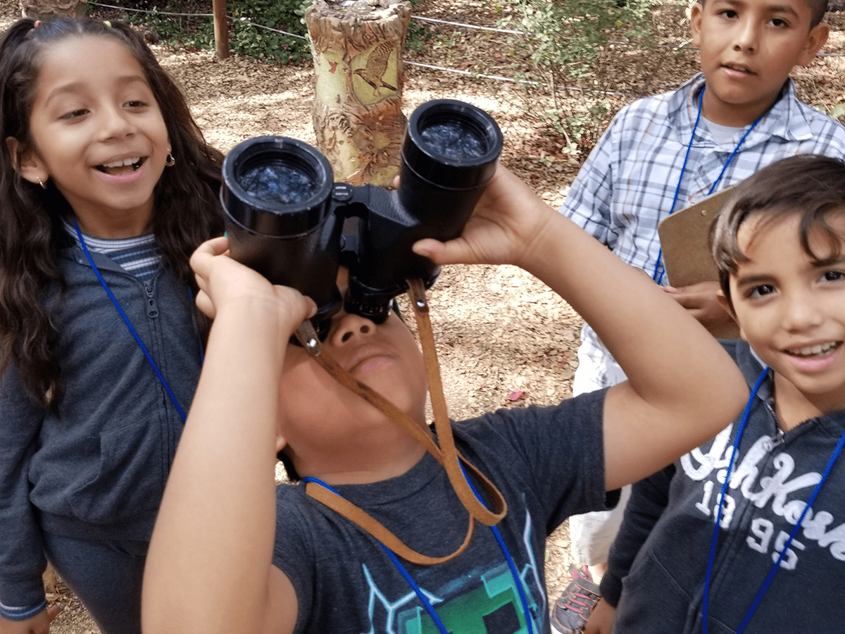 An elementary school student looks through a pair of binoculars to see birds high in the trees. Several classmates look on.