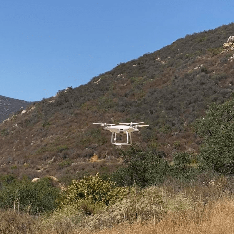 A white drone taking off over coastal sage scrub