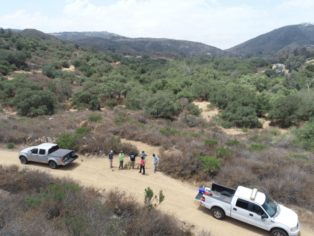 An overhead drone photo of the survey team standing on a dirt road surrounded by coastal sage scrub. They are between two white work pick-up trucks facing opposite directions