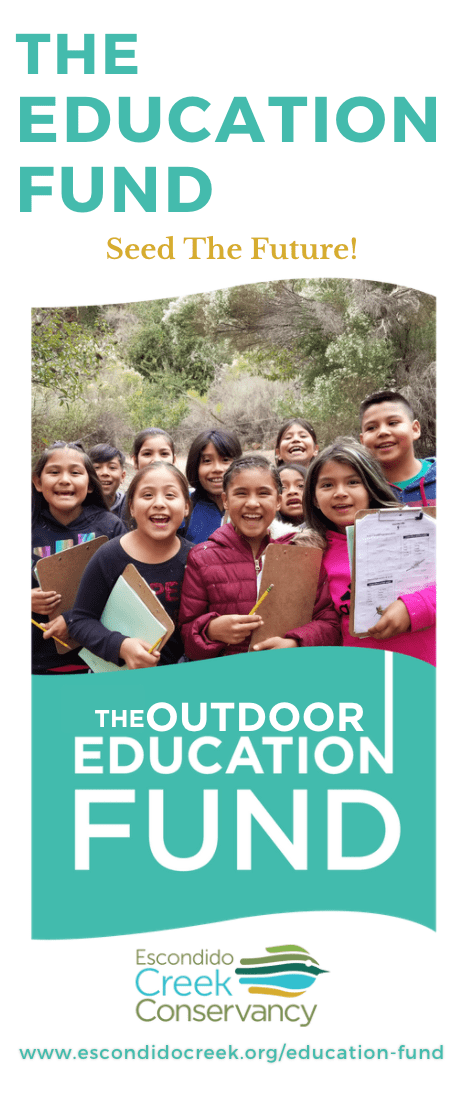 Cover of a brochure for the Education Fund