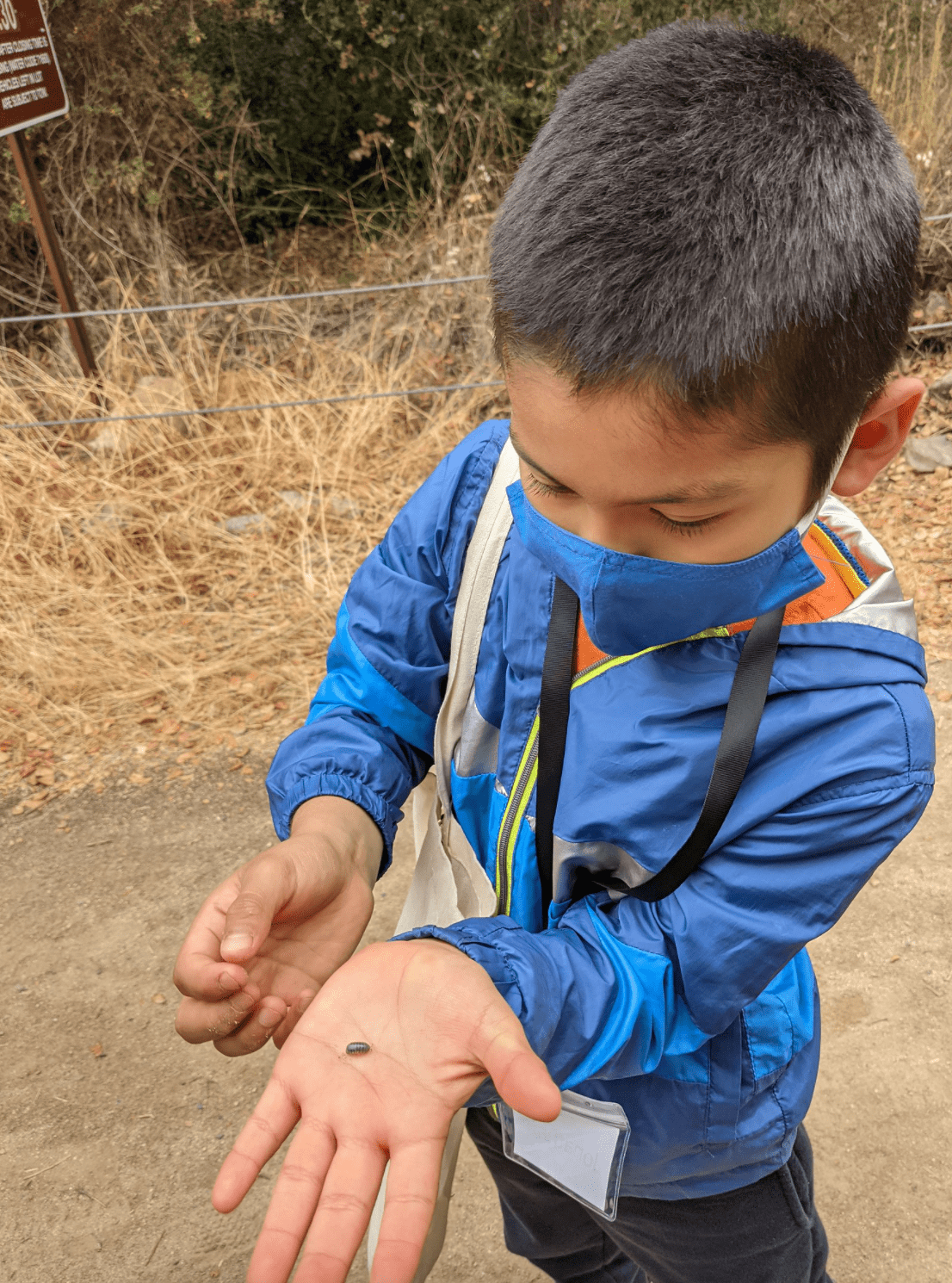 An elementary aged student in a blue jacket and blue mask holds a bug out to the camera.