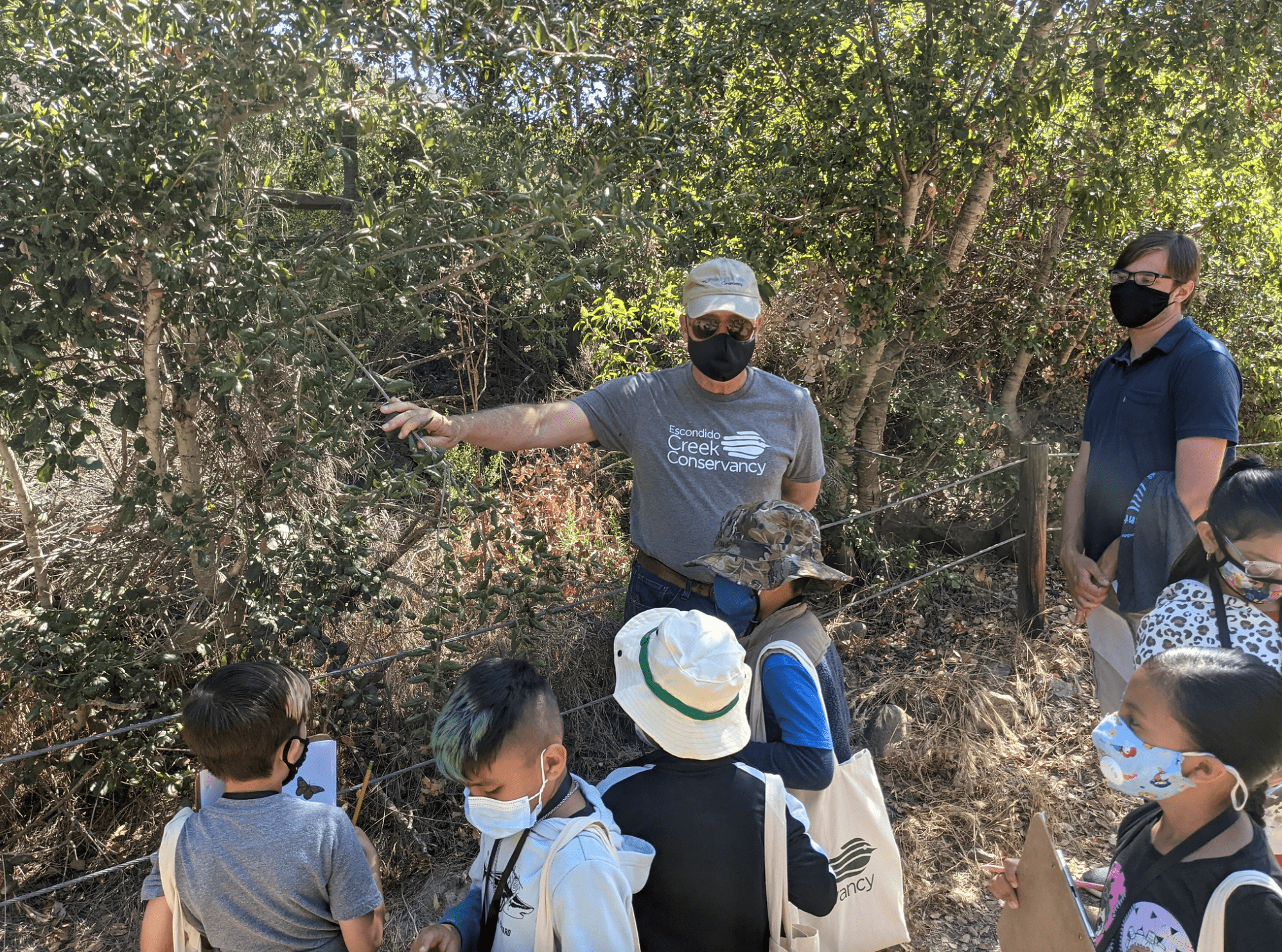An Escondido Creek Conservancy volunteer in a grey t-shirt, black mask and baseball camp points out natural plant features along a hiking trail to a group of elementary students.