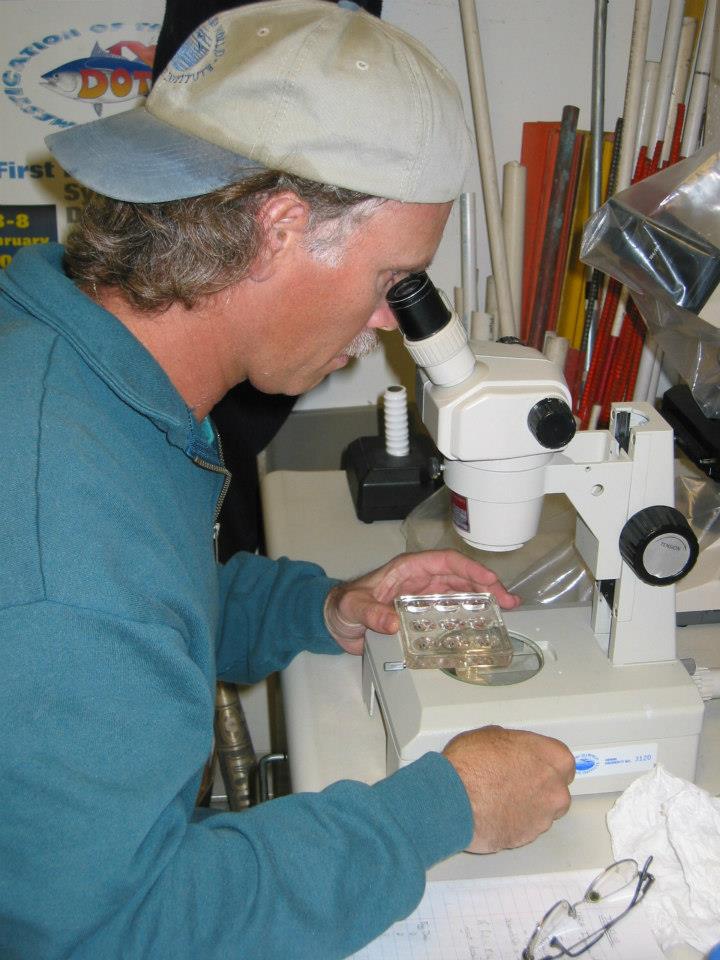 A man in a blue shirt and backwards baseball cap examining a slide through a microscope.