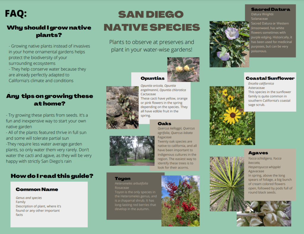 A native and invasive plant brochure.