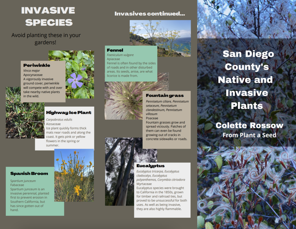 A San Diego native and invasive plant brochure.