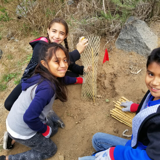 Three elementary students crouch down around a native plant being placed in the dirt and look up at the camera.