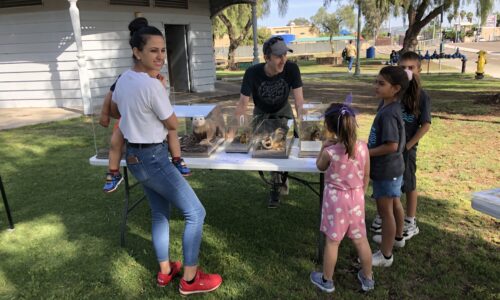 Students look at taxidermied animals on a table in the park as part of a science adventure camp