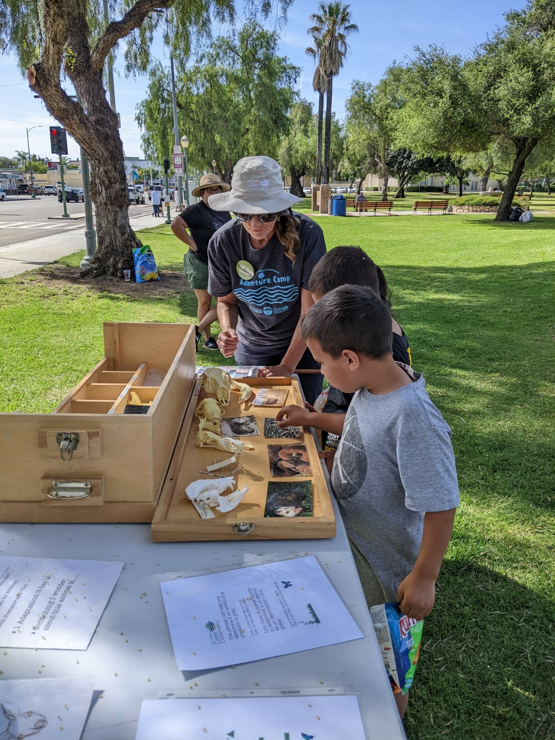 Elementary students look at animal skulls on a table in the park.